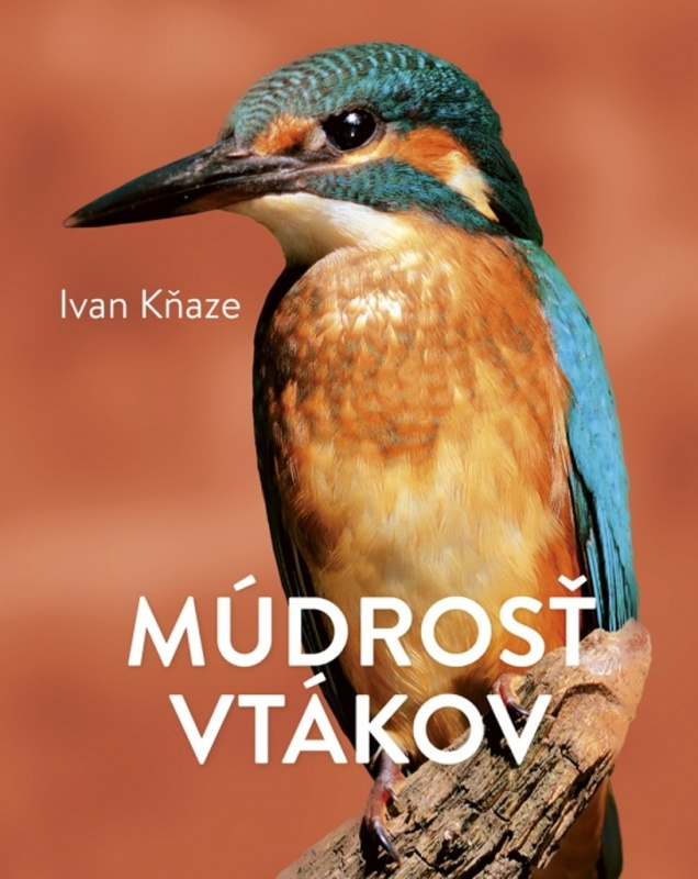 Múdrosť vtákov - Ivan Kňaze - kniha z kategorie Biologie