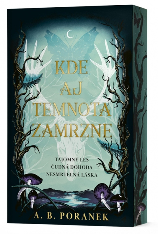 Kde aj temnota zamrzne - A.B. Poranek - kniha z kategorie Fantasy