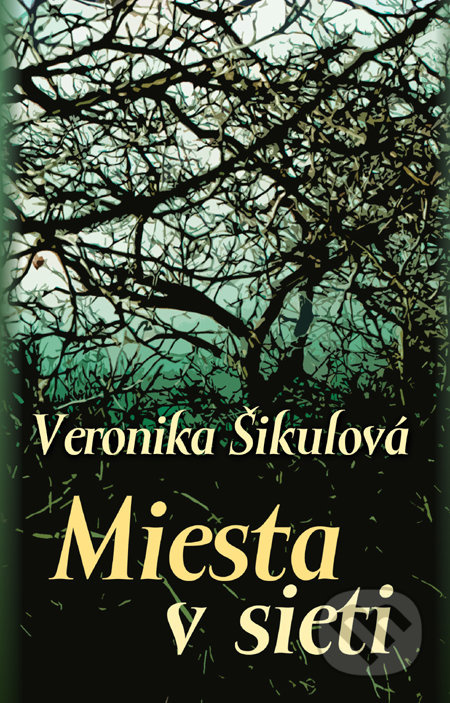 Miesta v sieti - Veronika Šikulová - kniha z kategorie Beletrie