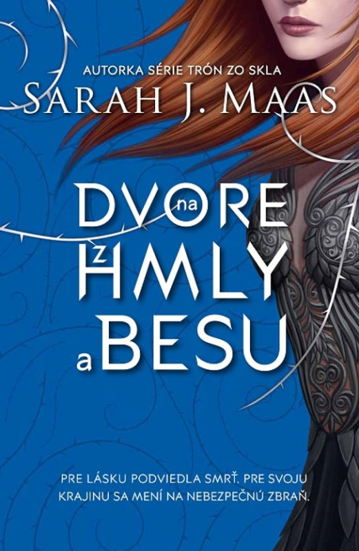 Na dvore z hmly a besu -  Sarah J. Maas