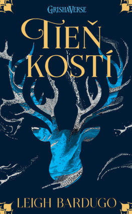 Tieň kostí - Leigh Bardugo - kniha z kategorie Beletrie pro děti
