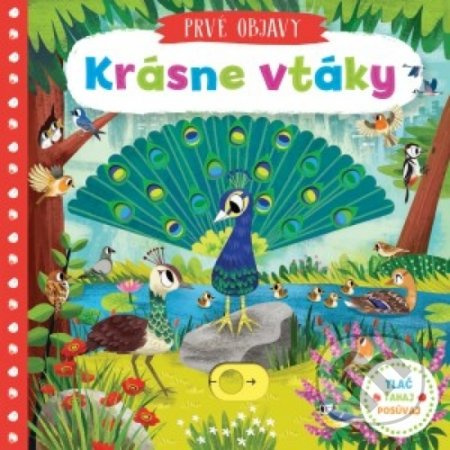 Krásne vtáky - kniha z kategorie Pro děti