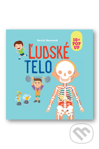 Ľudské telo - David Hawcock - kniha z kategorie Naučné knihy