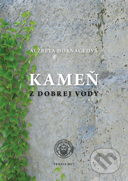 Kameň z dobrej vody - Alžbeta Hornáčková - kniha z kategorie Geologie