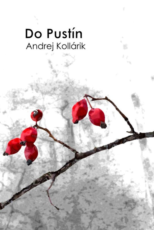 Do pustín -  Andrej Kollárik