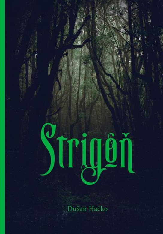 Strigôň -  Dušan Hačko