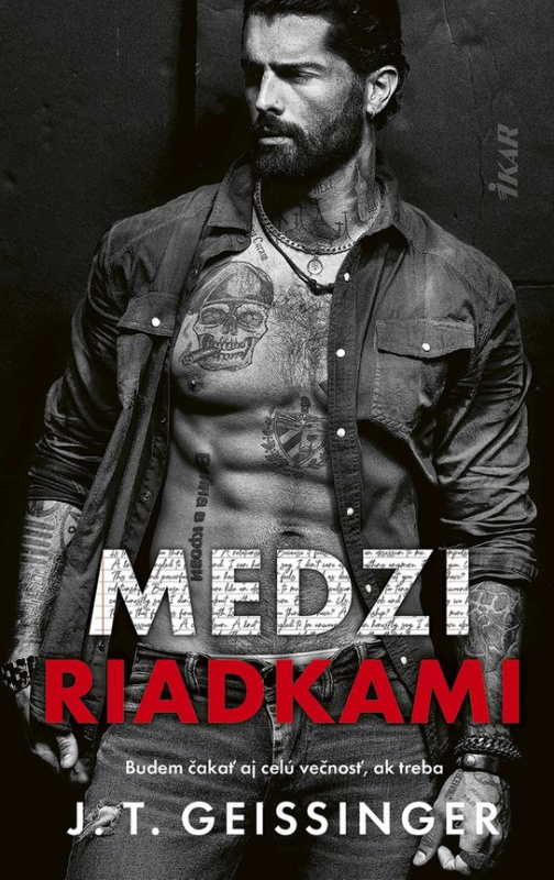 Medzi riadkami -  J.T. Geissinger