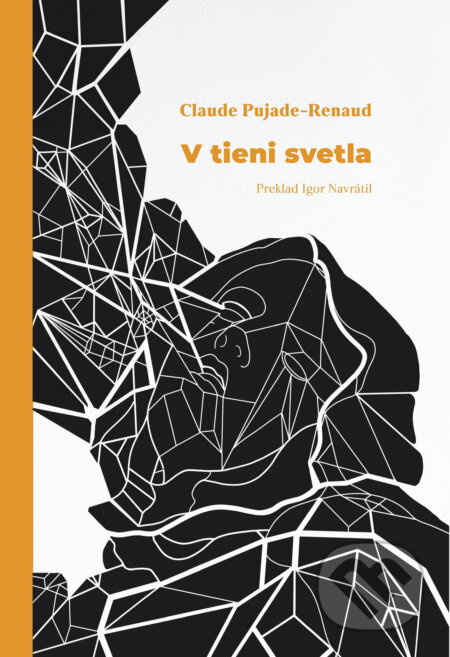 V tieni svetla - Claude Pujade-Renaud - kniha z kategorie Společenská beletrie