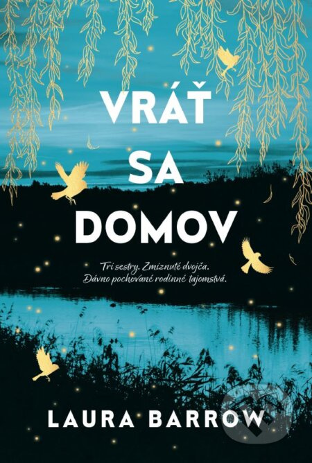 Vráť sa domov (Tri sestry. Zmiznuté dvojča. Dávno pochované rodinné tajomstvá.) - kniha z kategorie Společenská beletrie