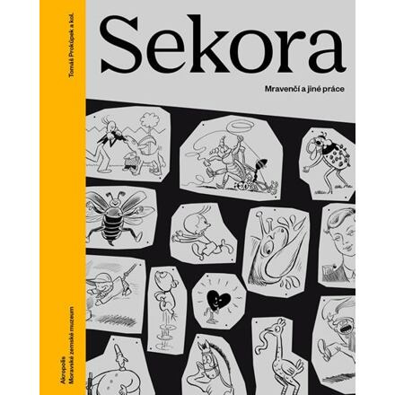 Sekora - Tomáš Prokůpek