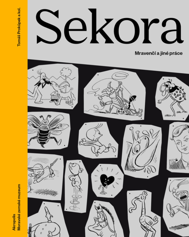 Sekora - Tomáš Prokůpek