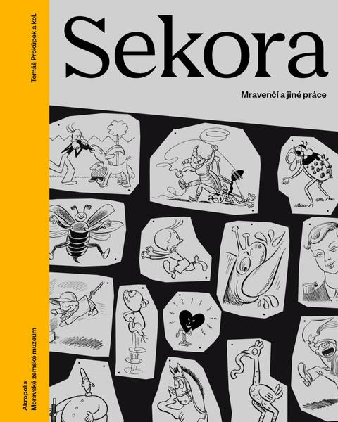 Sekora - Tomáš Prokůpek