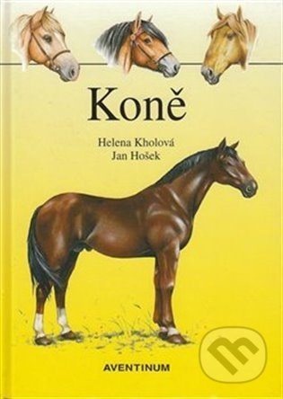 Koně - Helena Kholová