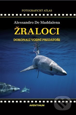 Žraloci, dokonalí vodní predátoři - Alessandro De Maddalena