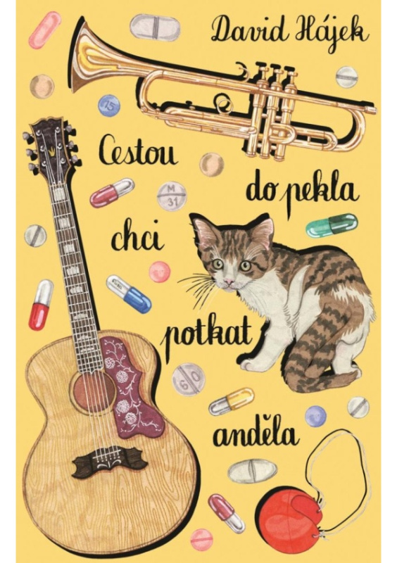 Cestou do pekla chci potkat anděla - David Hájek