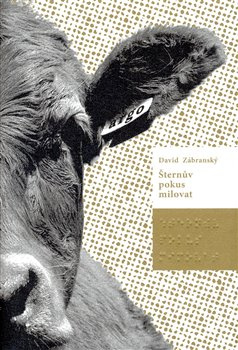 Šternův pokus milovat - David Zábranský