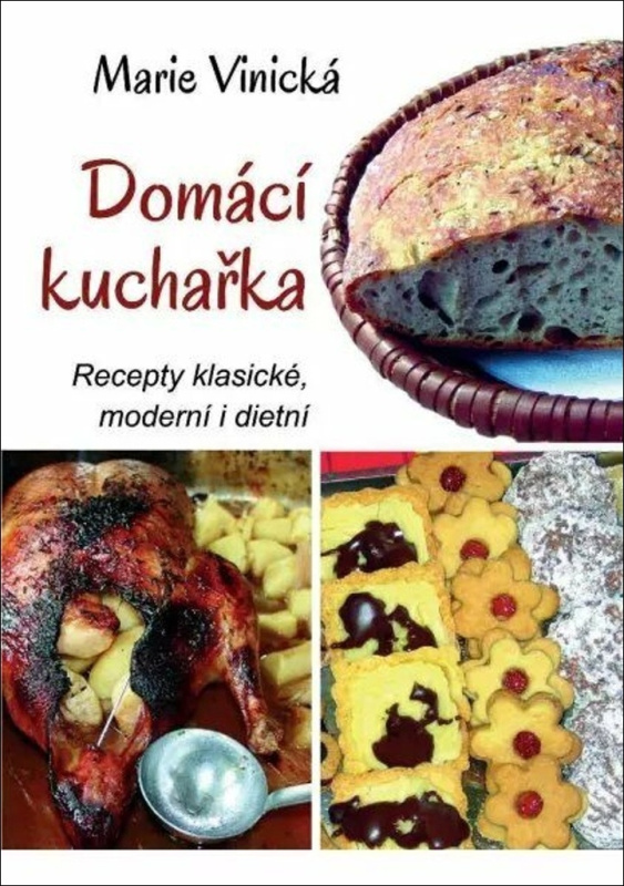 Domácí kuchařka - Recepty klasické, moderní i dietní Ing. Ota Rubner - NAVA