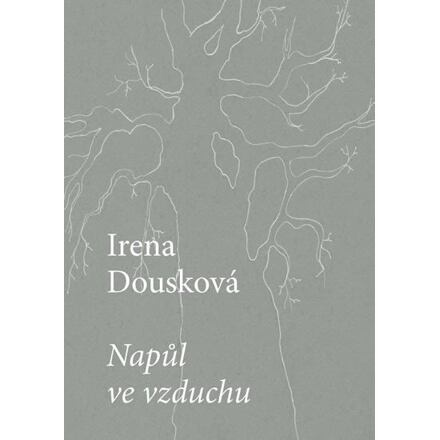 Napůl ve vzduchu - Irena Dousková