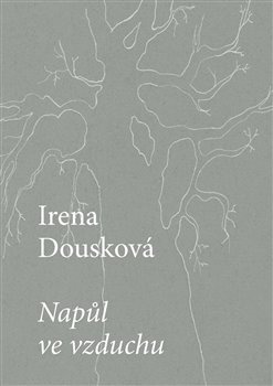 Napůl ve vzduchu - Irena Dousková