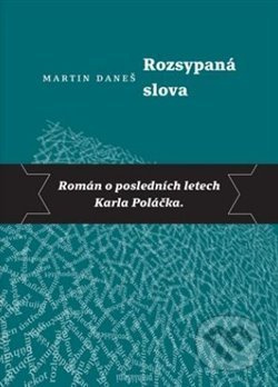 Rozsypaná slova - Martin Daneš