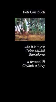 Jak jsem pro tebe zapálil Bercelonu - Petr Cincibuch