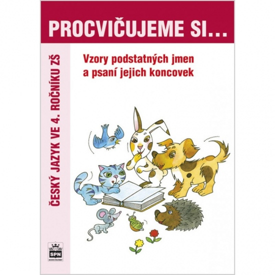 Procvičujeme si Vzory podstatných jmen a psaní jejich koncovek SPN - pedagog. nakladatelství