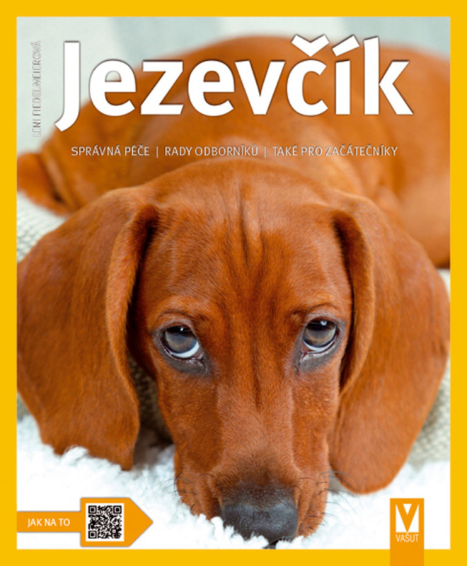 Jezevčík - Leni Fiedelmeierová