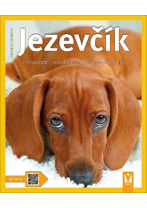 Jezevčík - Leni Fiedelmeierová