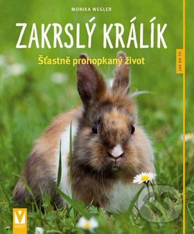 Zakrslý králík - Monika Weglerová