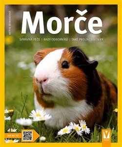 Morče - Katrin Behrendová
