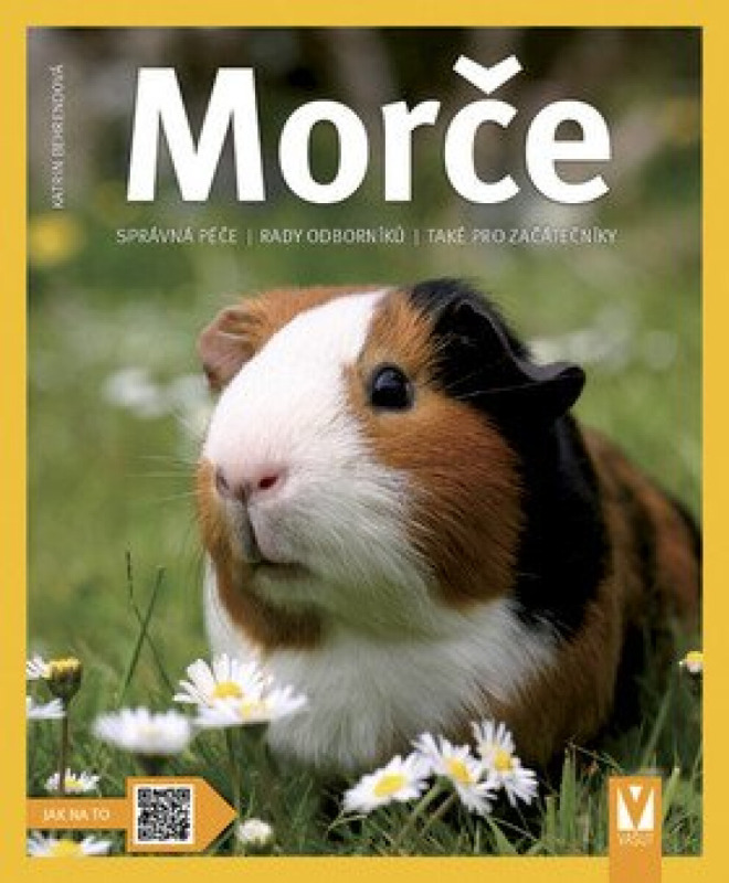 Morče - Katrin Behrendová