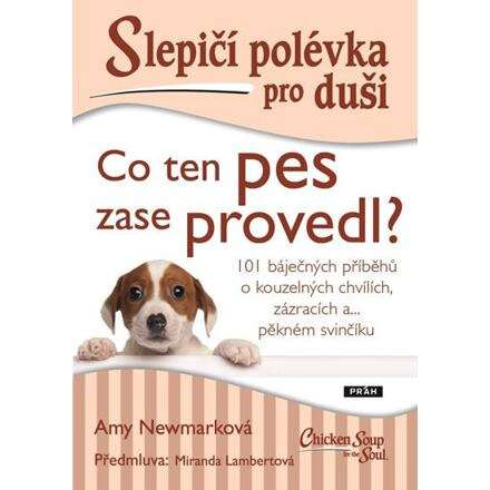 Slepičí polévka pro duši - Co ten pes zase provedl? - Amy Newmarková