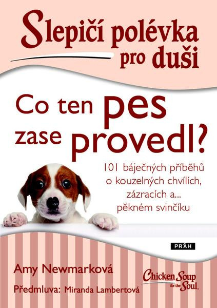Slepičí polévka pro duši - Co ten pes zase provedl? - Amy Newmarková