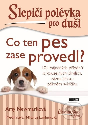 Slepičí polévka pro duši - Co ten pes zase provedl? - Amy Newmarková