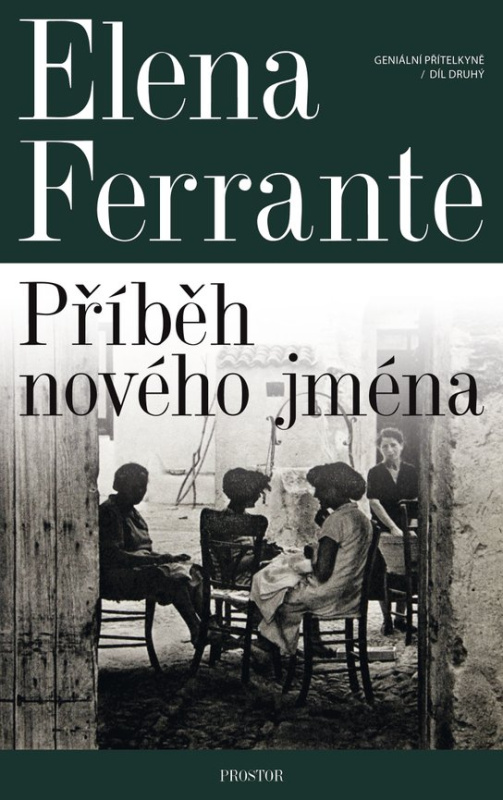 Geniální přítelkyně: Příběh nového jména -  Elena Ferrante