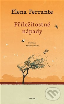 Příležitostné nápady - Elena Ferrante