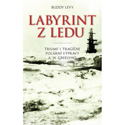 Labyrint z ledu - Buddy Levy