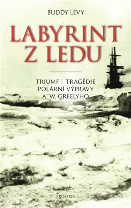Labyrint z ledu - Buddy Levy