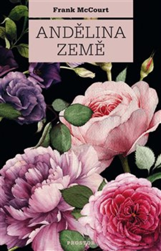 Andělina země - Frank McCourt