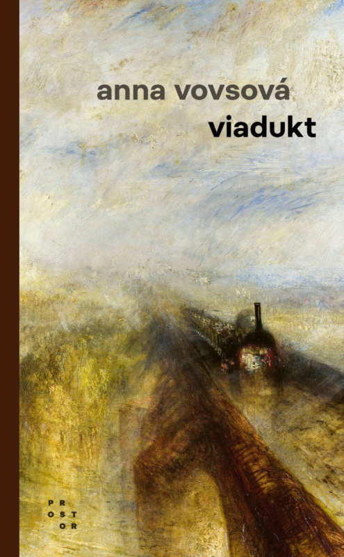 Viadukt - Anna Vovsová - kniha z kategorie Společenská beletrie
