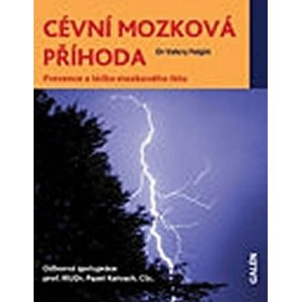 Cévní mozková příhoda - Valery Feigin