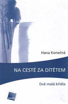 Na cestě za dítětem - Eva Konečná