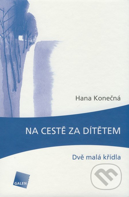 Na cestě za dítětem - Eva Konečná