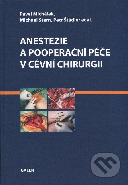 Anestezie a pooperační péče v cévní chirurgii - Petr Štádler, Pavel Michálek, Michael Stern