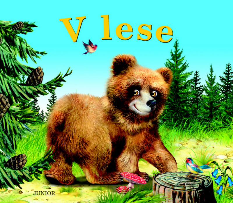 V lese - kolektiv