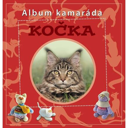 Kočka