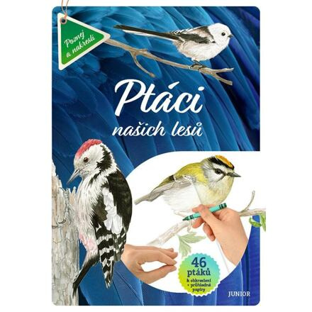 Ptáci našich lesů