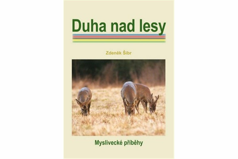 Duha nad lesy