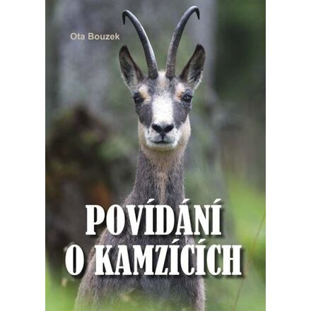Povídání o kamzících