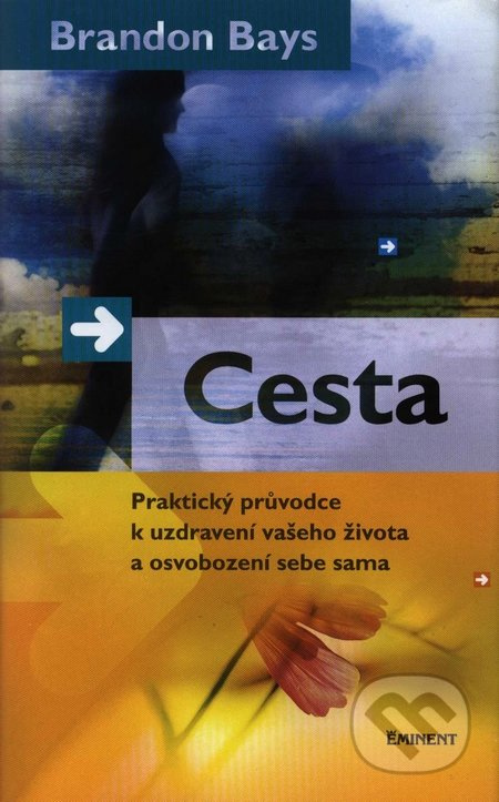Cesta - Brandon Bays
